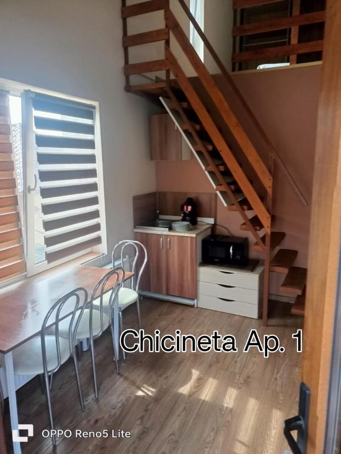 Vila Casa Lucaciu Kluž Exteriér fotografie